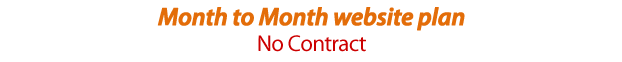 Month to month website plan - No Contact